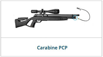 carabine pcp