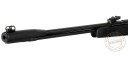 Carabine à plomb 4,5 mm GAMO  CFX (19,9 Joules)