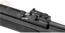 Carabine à plomb 4,5 mm GAMO  CFX (19,9 Joules)