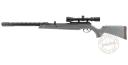 Carabine à plomb UMAREX SYNERGIS ELITE