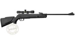 Pack carabine à plombs 4,5 mm GAMO Big Cat 1000E (19,9 Joules)