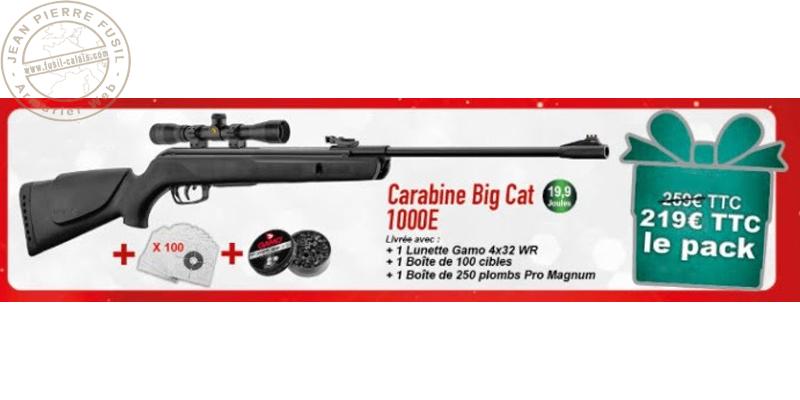 Pack carabine à plombs 4,5 mm GAMO Big Cat 1000E (19,9 Joules)