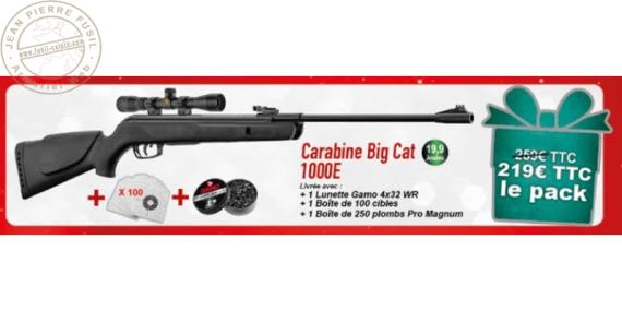 Pack carabine à plombs 4,5 mm GAMO Big Cat 1000E (19,9 Joules)
