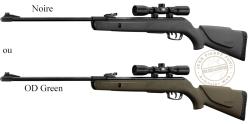 GAMO Big Cat 1000-E Air...