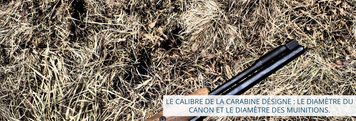 le calibre de la carabine à plomb