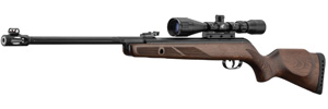 gamo hunter 440 as lead rifle