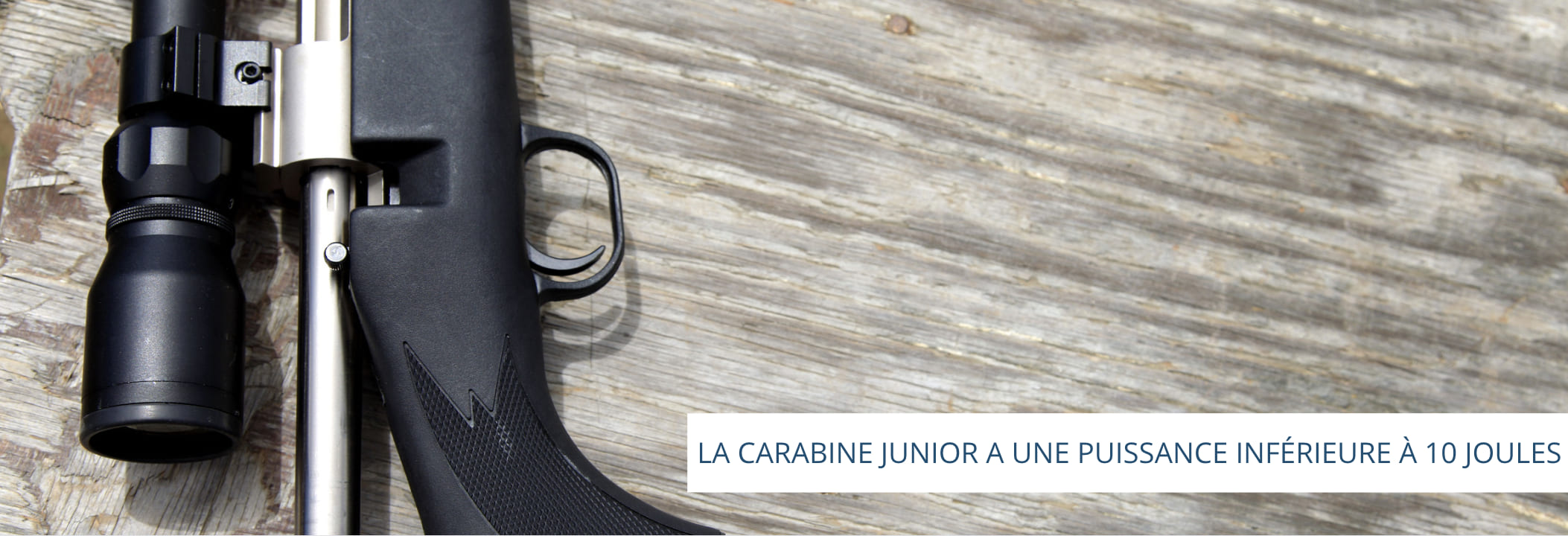 carabine a plomb junior