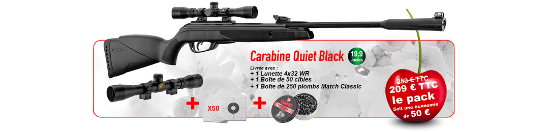 pack cerise gamo carabine quiet black